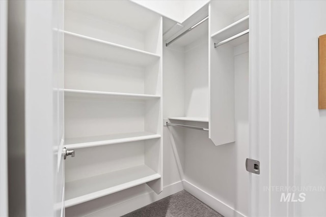 view of walk in closet