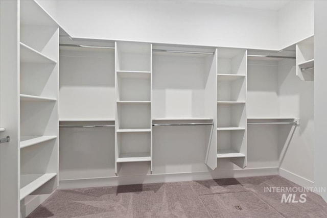 walk in closet featuring carpet