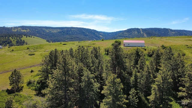 39055 Hilltop Ln, Lewiston, ID 83501 - mountain view featuring rural landscape