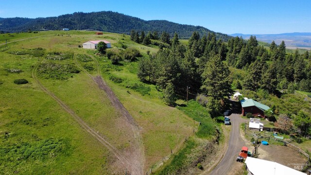 39055 Hilltop Ln, Lewiston, ID 83501 - view of rural area with a mountain backdrop