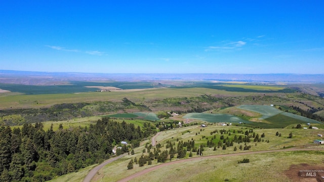 39055 Hilltop Ln, Lewiston, ID 83501 - drone / aerial view
