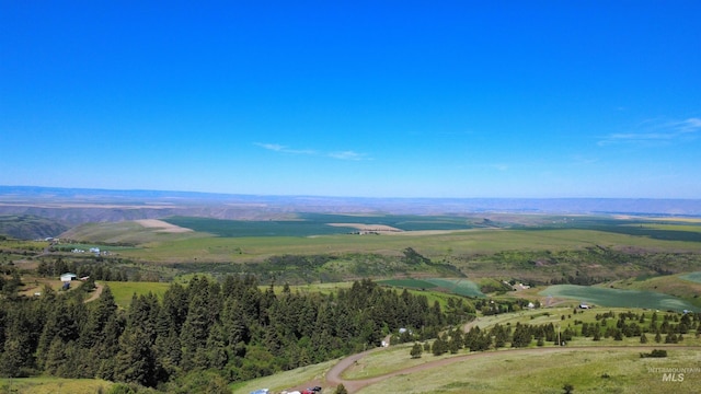 39055 Hilltop Ln, Lewiston, ID 83501 - drone / aerial view