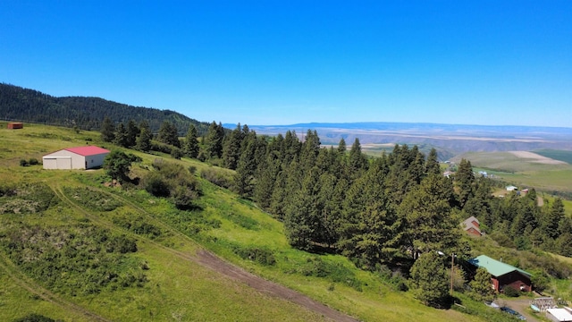 39055 Hilltop Ln, Lewiston, ID 83501 - aerial view of a heavily wooded area and mountains