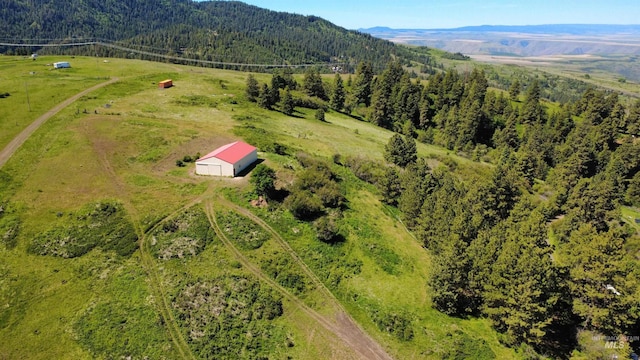 39055 Hilltop Ln, Lewiston, ID 83501 - overview of rural landscape featuring a mountainous background and a heavily wooded area