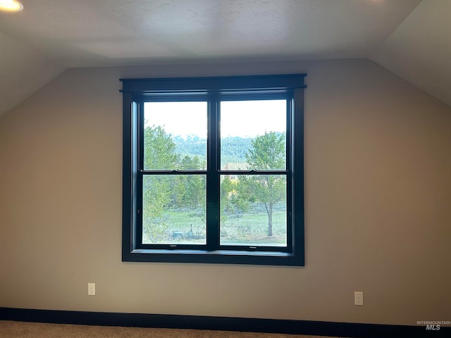 additional living space featuring a healthy amount of sunlight, lofted ceiling, and carpet floors