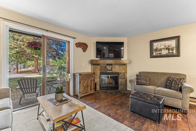 601 Hemlock St Unit 3, Mccall, ID 83638 - living room with hardwood / wood-style flooring and a fireplace