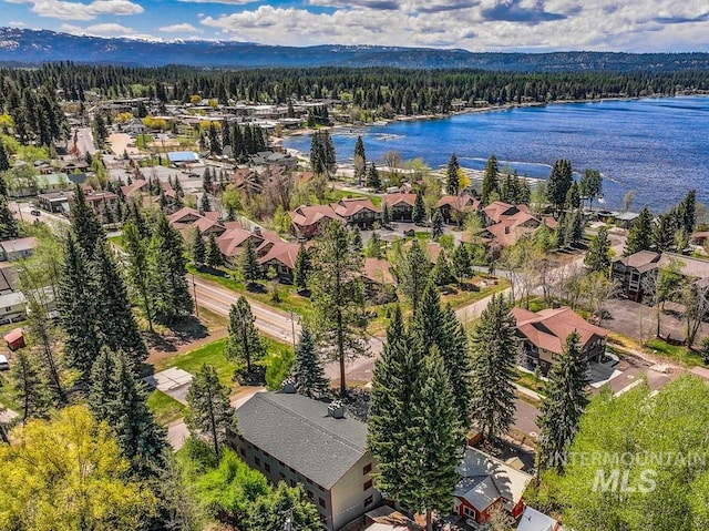 601 Hemlock St Unit 3, Mccall, ID 83638 - aerial view of residential area featuring a heavily wooded area and a nearby body of water