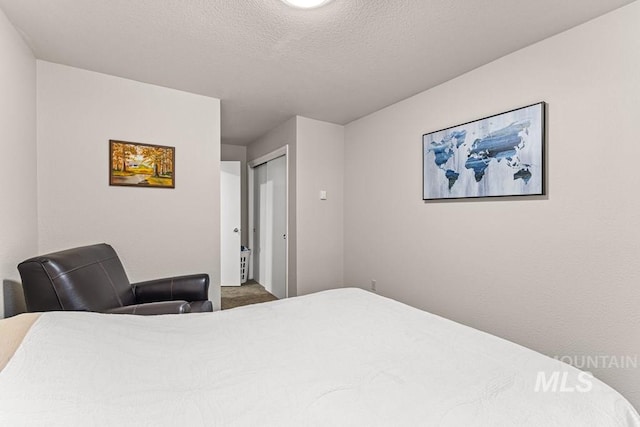 601 Hemlock St Unit 3, Mccall, ID 83638 - bedroom with a closet and carpet flooring