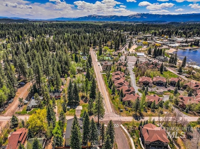 601 Hemlock St Unit 3, Mccall, ID 83638 - aerial perspective of suburban area with a forest and a water and mountain view