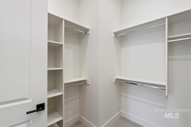 6535 S Evie Way, Eagle, ID 83714 - view of spacious closet