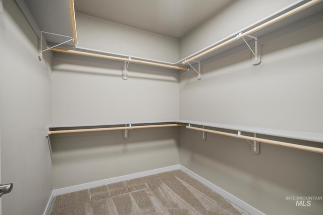 10449 W Thimbleberry Dr, Star, ID 83669 - spacious closet with carpet flooring