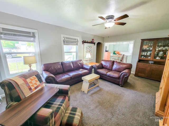 921 14th St, Lewiston, ID 83501 - living room with arched walkways, carpet floors, and ceiling fan