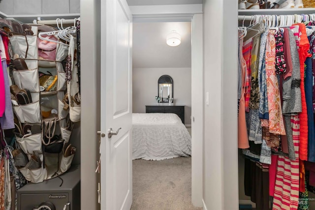 spacious closet with carpet