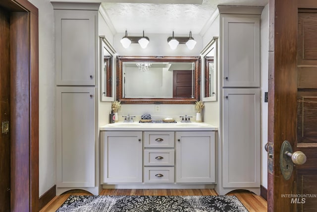 133 N Rd, Jerome, ID 83338 - bathroom featuring double vanity, wood finished floors, and a sink