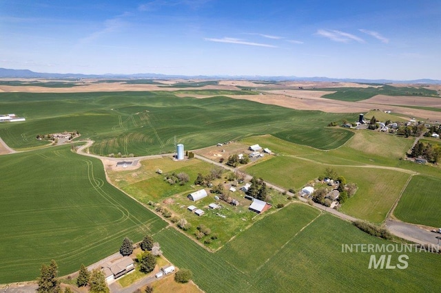 1045 N Beech Rd, Genesee, ID 83832 - drone / aerial view