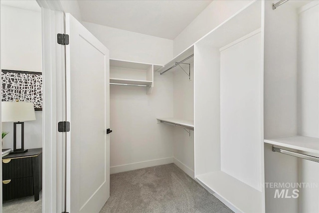 walk in closet with light colored carpet