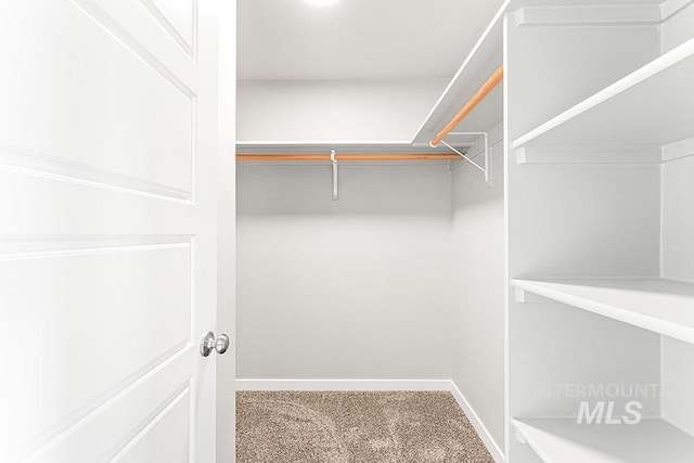 walk in closet with carpet