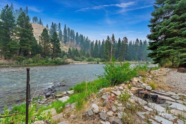 water view featuring a view of trees