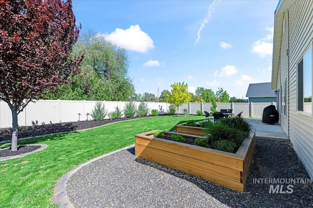 view of yard featuring a vegetable garden and a patio area