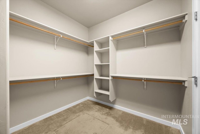18555 N Goldenridge Pl, Boise, ID 83714 - spacious closet featuring carpet flooring