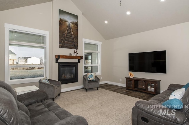 living room featuring high vaulted ceiling and wood-type flooring