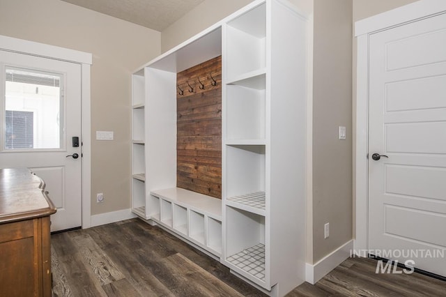 mudroom with dark hardwood / wood-style floors