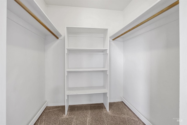 275 Elaine Ave Unit 2, Twin Falls, ID 83301 - walk in closet featuring carpet floors