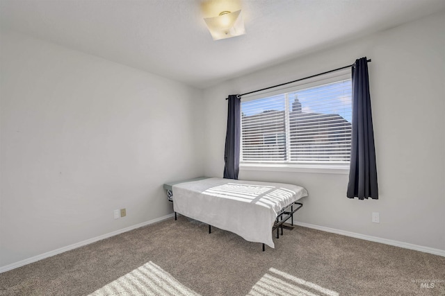 275 Elaine Ave Unit 2, Twin Falls, ID 83301 - bedroom with carpet floors and baseboards
