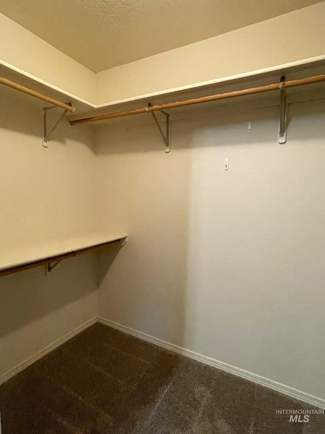 228 W Winnipeg St, Meridian, ID 83642 - walk in closet with dark colored carpet