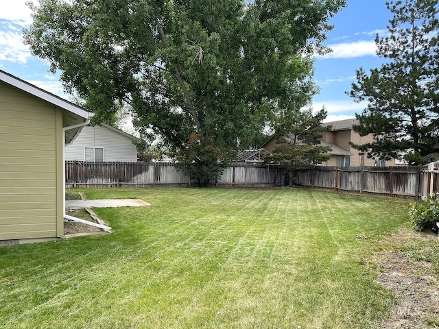 228 W Winnipeg St, Meridian, ID 83642 - view of yard