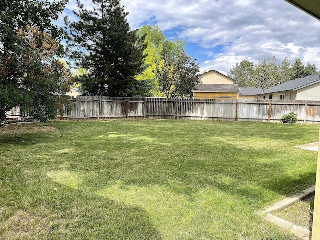 228 W Winnipeg St, Meridian, ID 83642 - view of yard