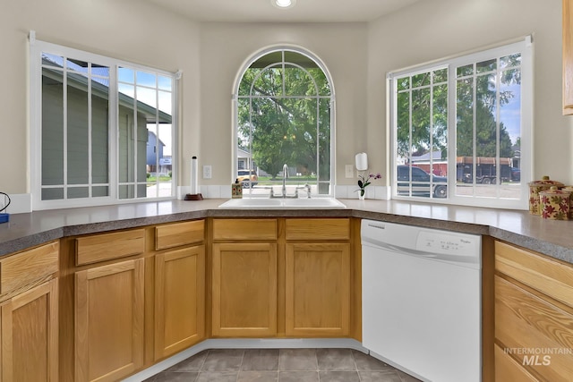 3719 E Sandyford Ave, Nampa, ID 83686 - kitchen with dishwasher and a sink