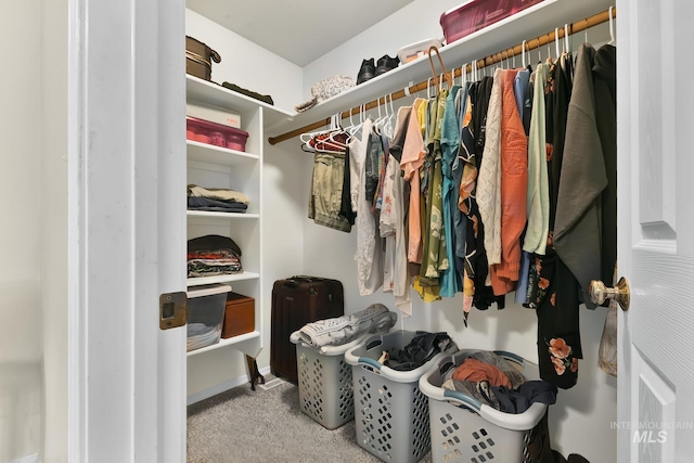 3719 E Sandyford Ave, Nampa, ID 83686 - spacious closet featuring carpet