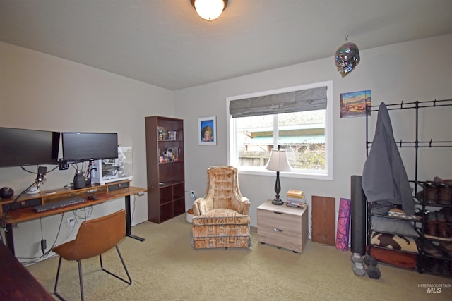 view of carpeted office