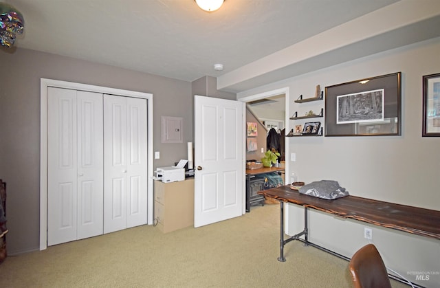 office featuring light colored carpet