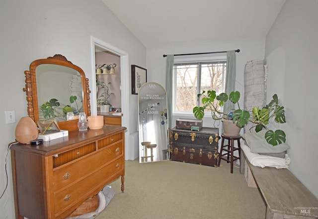 living area featuring carpet flooring