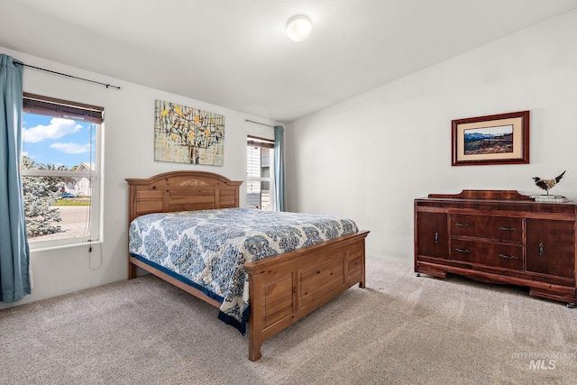 1320 American Ln, Emmett, ID 83617 - view of carpeted bedroom