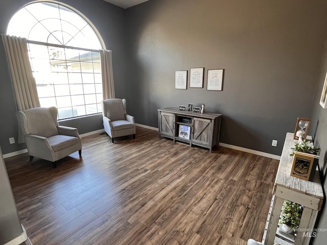 sitting room featuring dark wood-type flooring