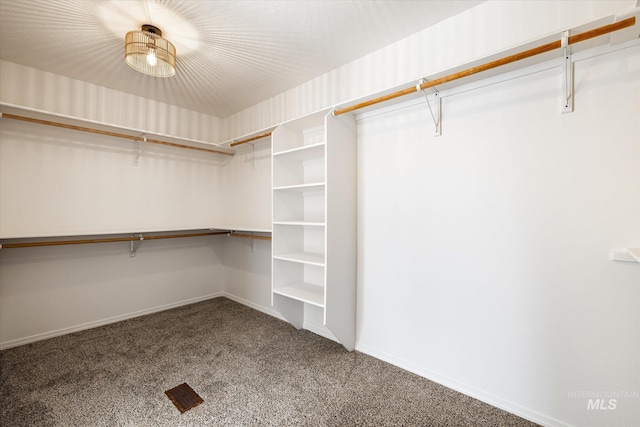 walk in closet with carpet floors