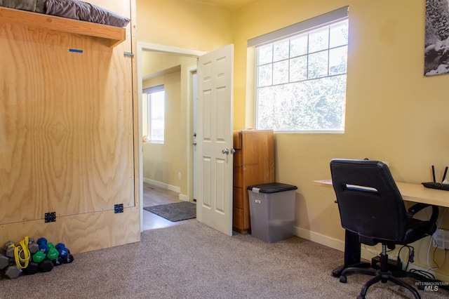 office area featuring carpet flooring and baseboards