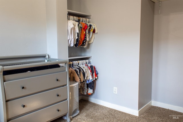 spacious closet with light colored carpet