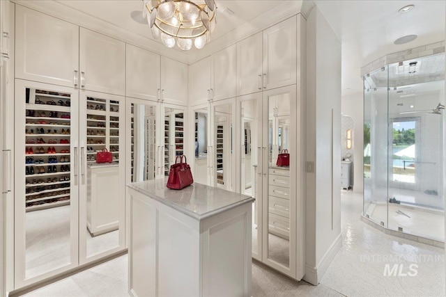 1122 W Two Rivers Ln, Eagle, ID 83616 - walk in closet with a chandelier
