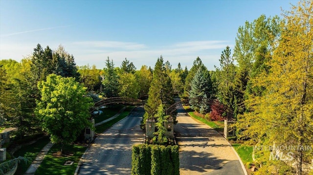 1122 W Two Rivers Ln, Eagle, ID 83616 - view of property's community