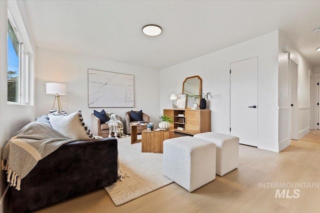 living room featuring light wood-type flooring
