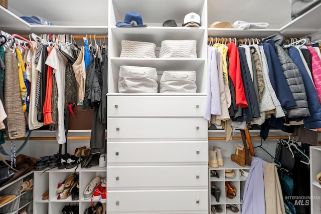 view of spacious closet