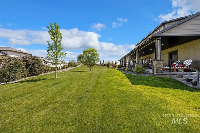 view of yard featuring a patio