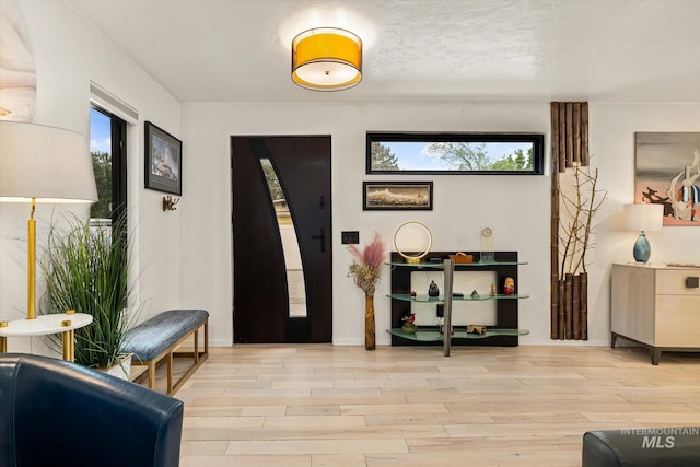 2402 Columbus, Boise, ID 83705 - foyer with light wood-style flooring, plenty of natural light, and baseboards