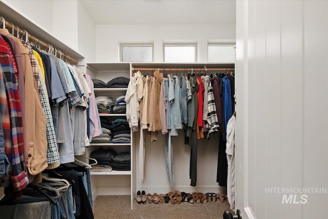 spacious closet with carpet flooring