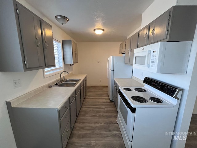 kitchen featuring white appliances, dark wood-type flooring, a sink, light countertops, and gray cabinets