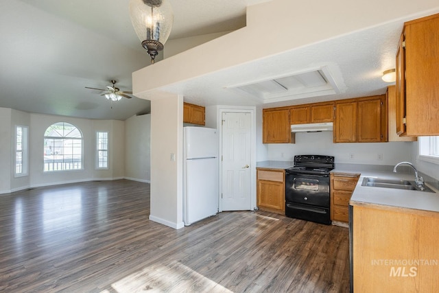 4709 Pioneer Ave, Caldwell, ID 83607 - kitchen featuring freestanding refrigerator, electric range, a sink, under cabinet range hood, and dark wood-style floors